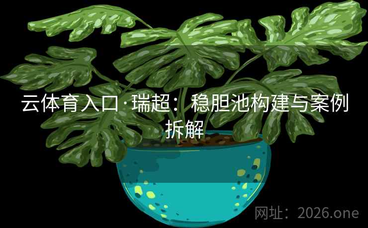 云体育入口·瑞超：稳胆池构建与案例拆解