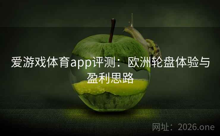 爱游戏体育app评测:欧洲轮盘体验与盈利思路