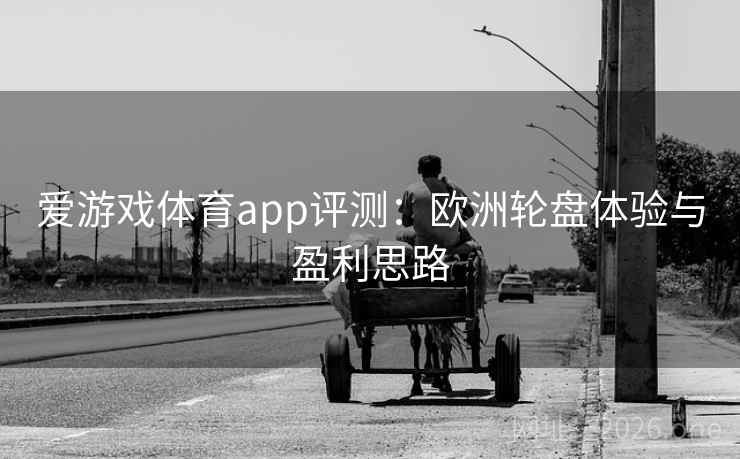 爱游戏体育app评测：欧洲轮盘体验与盈利思路