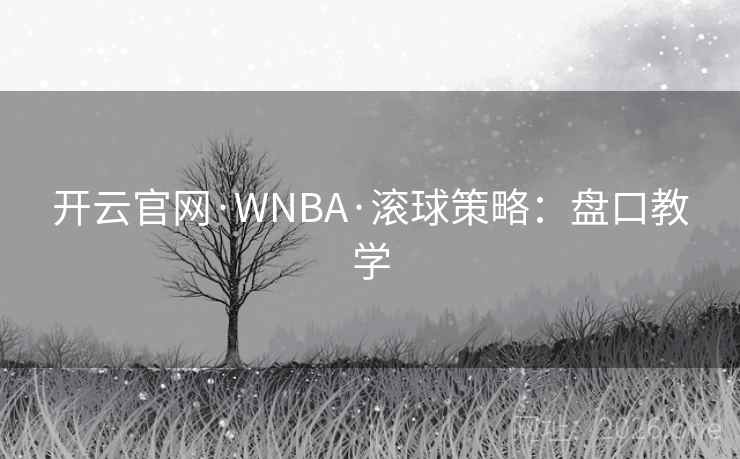 开云官网·WNBA·滚球策略:盘口教学