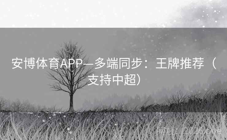 安博体育APP—多端同步:王牌推荐(支持中超)