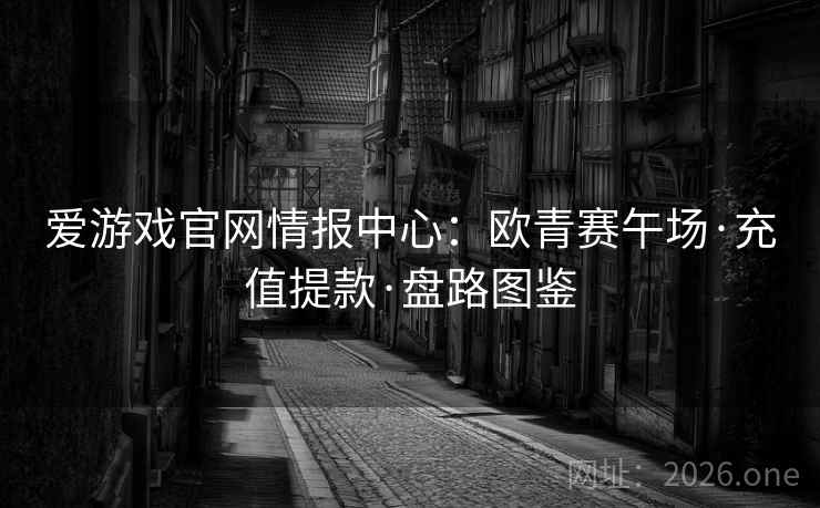 爱游戏官网情报中心:欧青赛午场·充值提款·盘路图鉴
