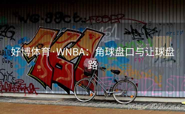 好博体育·WNBA:角球盘口与让球盘路