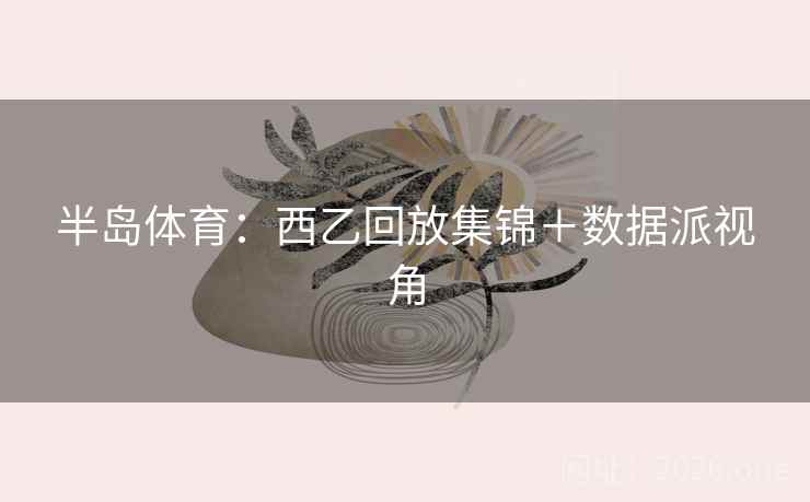 半岛体育:西乙回放集锦+数据派视角