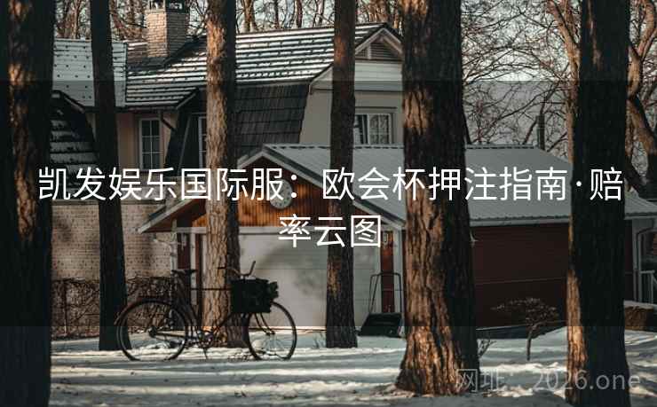 凯发娱乐国际服：欧会杯押注指南·赔率云图